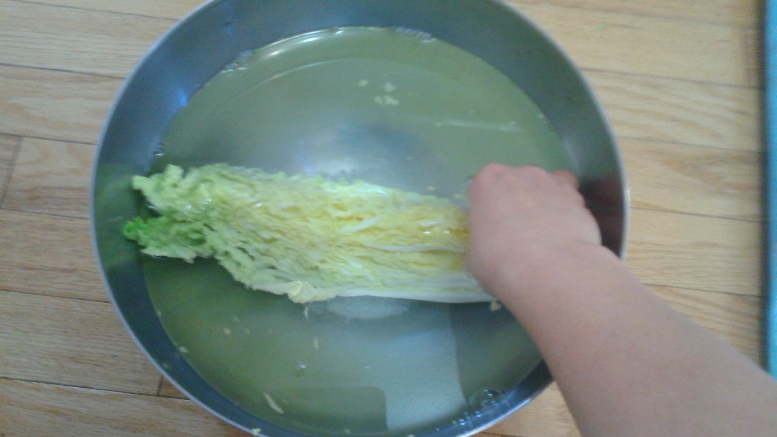 kimchi-cabbage-duck-in-salty-water