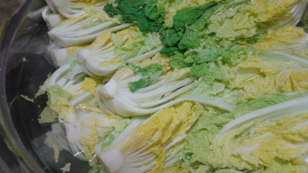 kimchi-ready-to-wash