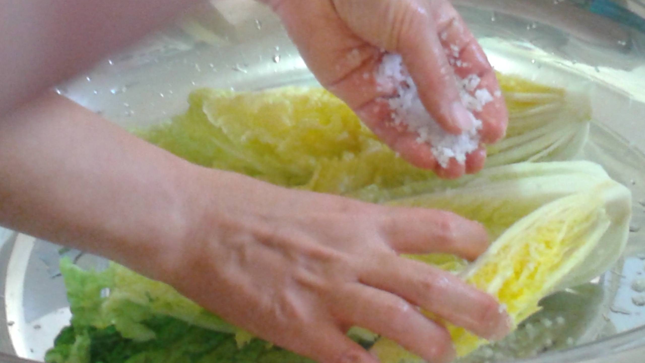 kimchi-salt-each-leaves